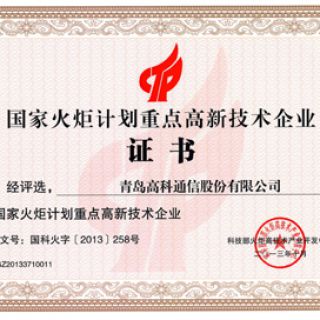 国家火炬计划重点高新技术企业